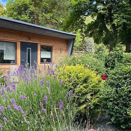 Das Ferienhaus Am Tiergarten Вернигероде Экстерьер фото