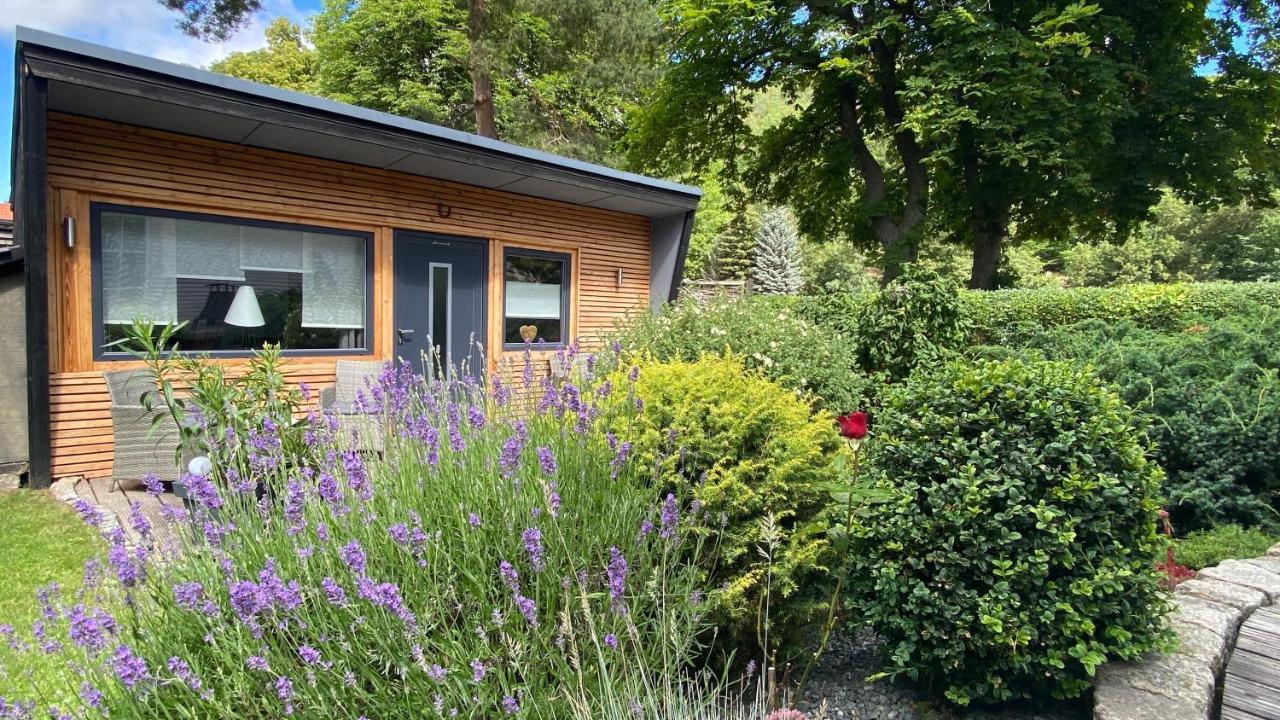 Das Ferienhaus Am Tiergarten Вернигероде Экстерьер фото